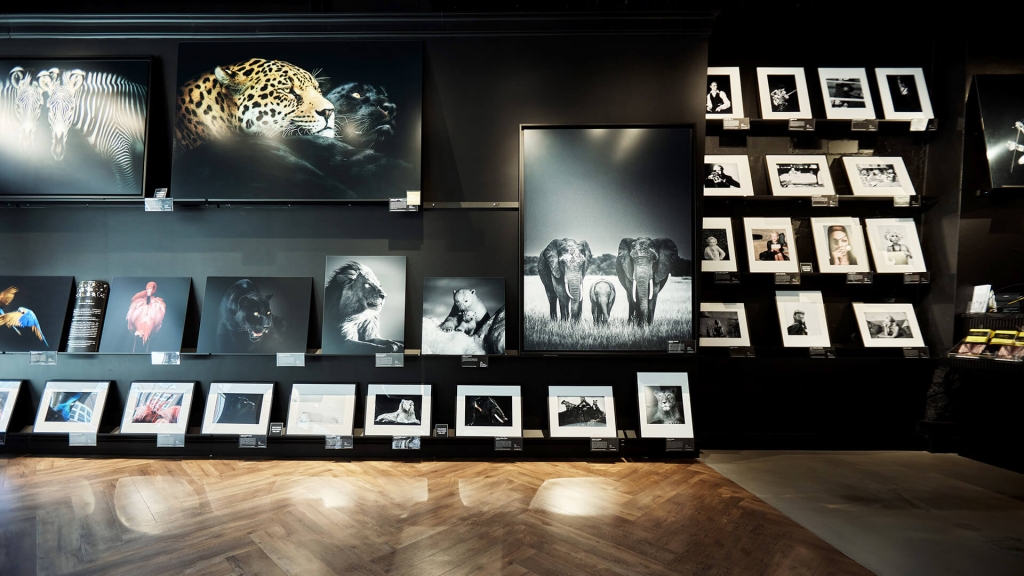 Yellow Korner loom we are gc